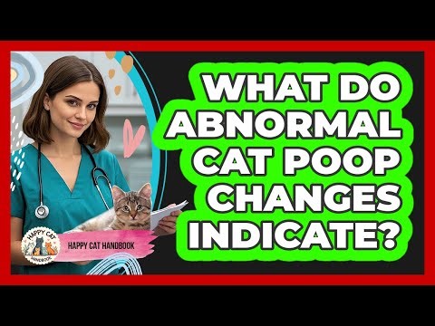 What Do Abnormal Cat Poop Changes Indicate?