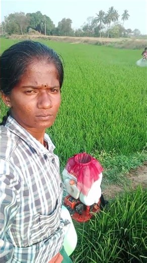 The farmer's hardship is limited to words 😥😭#trending #agriculturalsystem #vairalvideo