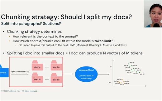 LLM Module 2 词嵌入, 向量数据库和搜索 ｜ - LL应用开发 ｜ 2.6 最佳实践