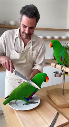 Corte de Pastel de Loro y Reacción Dramática