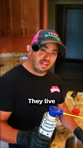 How to Get Rid of Drain Flies!