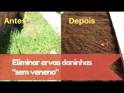 How to get rid of weeds without using poison
