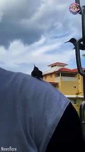 It melts my heart 🥰 | HomeChic