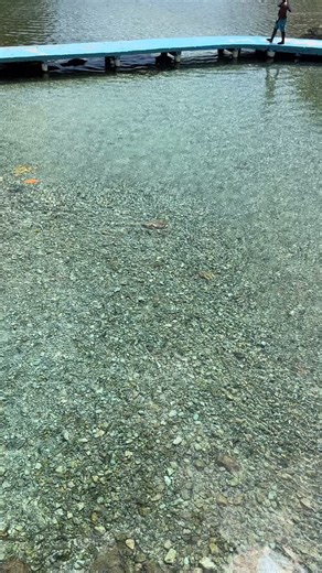 A disfrutar del agua fresquita de los Patos 💯😊🤗 Admiren y bajen a darse su chapuzón como nosotros #fblifestyle | Fadela Tours and travel