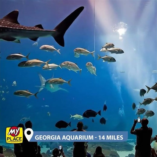 Adventure in Lithia Springs, GA - My Place Hotels!