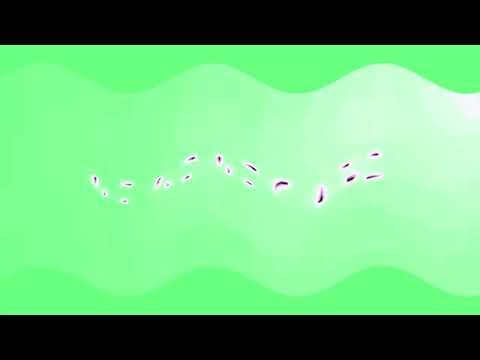 Dodge Logo Effects (AMC Cosmote Group Csupo Effects)