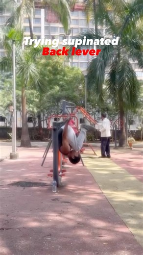 Supinated back lever #calisthenics gym #backlever