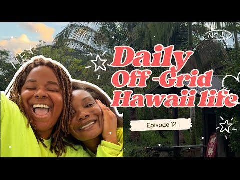 Ep 12 🌴 FIRST Canistel Harvest of the Season! 🌞 Water & Food Off-Grid | Daily Off Grid Hawaii Life