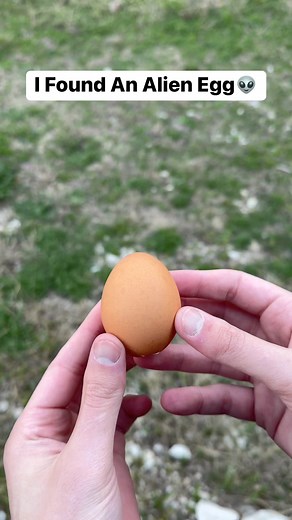 38K views · 14 reactions | I Found An Alien Egg | Blake Reels | Facebook