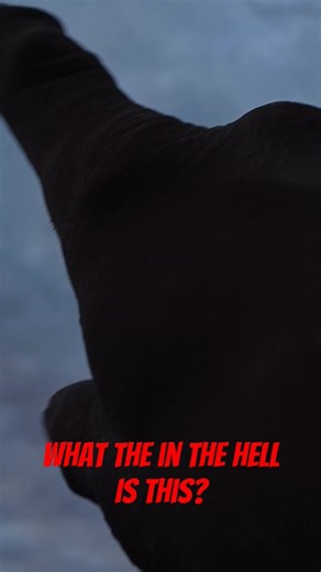 wtf is that in the sky? #uap #atip #ufo #orb #circle #uaps