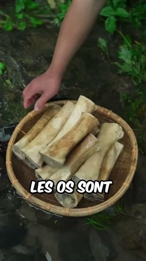 Art de l'incrustation d'os