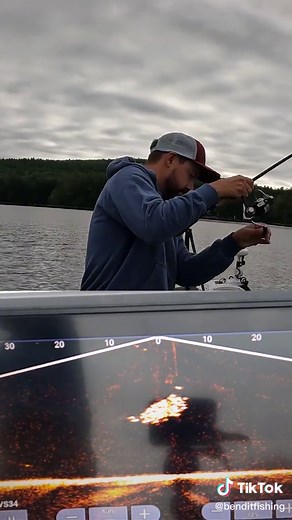 Trophy White Perch! #lakewinnipesaukee