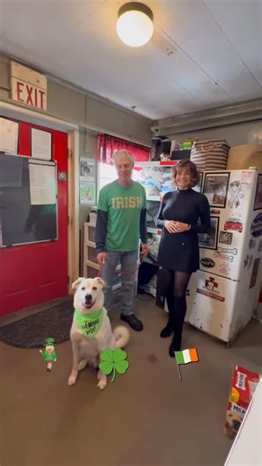 Come join us to celebrate St. Patrick’s Day for an adoption day event at 4 Paws Only grooming in Staten Island on 3/15…See you there!#husky #stpatricksday☘️ #dog #huskiesofinstagram | Husky House