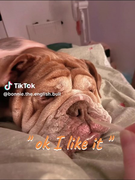 Snippets of the wk 🩷