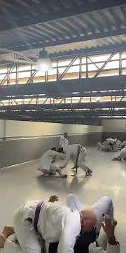 Jiu-Jitsu Every Day