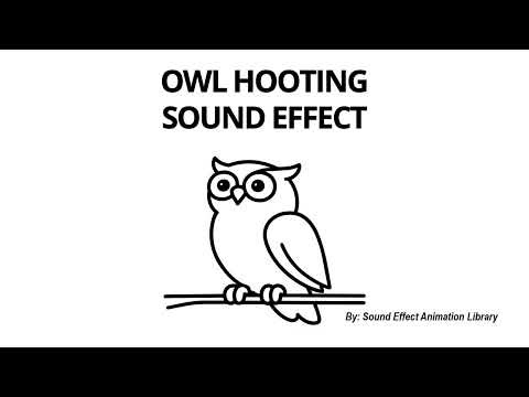 Owl Hooting Sound Effect - HOO! HOO! |With Definition