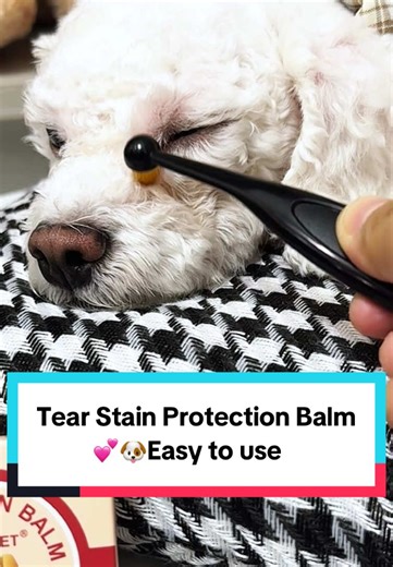 Effective Tear Stain Protection for Dogs