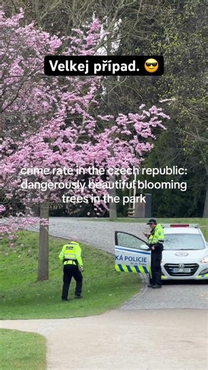TT sveta_ovs #cesko #jaro #ukázka #cestou #park #praha #prace #zabava #sranda #kontrola #ridic