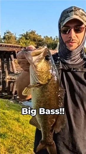 Topwater Blowup Under a Train Trestle! 💥🎣