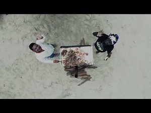 Asio Freewave Bungalows