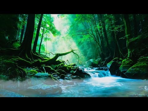 Instant Peace of Mind 🌿 Water Sounds & Relaxing Bird Singing, Anxiety Relief, Deep Sleep, Relaxation