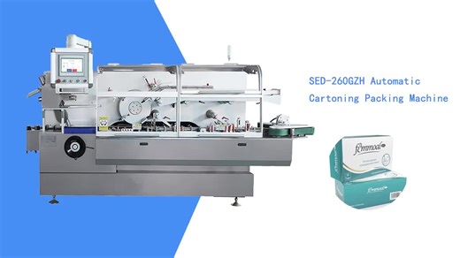 High Speed Automatic Carton Box Packaging Machine Cartoning Machine