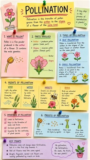 Pollination Explained #pollination #pollinators #pollen #typesofpollination #science #sciencefacts