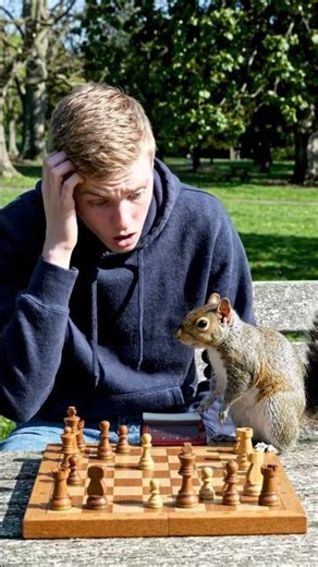 When your opponent is a Squirrel... 😂🧤 #shorts #funny #nature