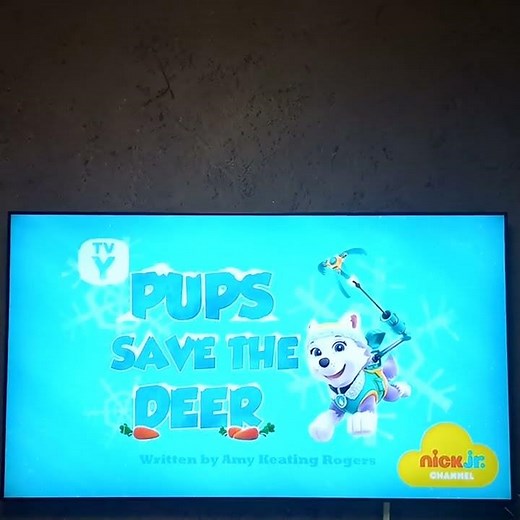 Paw Patrol 2013 2022 S5 Pups Save Deer