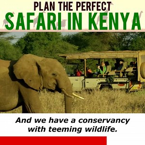 677K views · 431 reactions | 女Take the trip of a lifetime and explore...