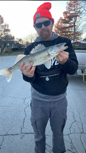 Facts. #frisbeedog #discdog #rescuedogs | McCabe Champion Disc Golf Course Design