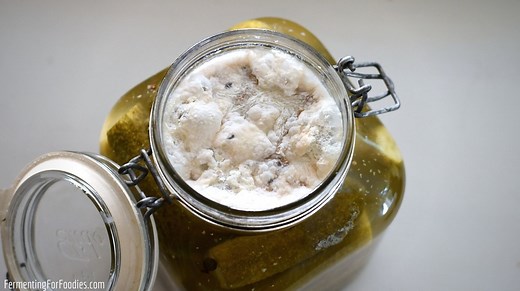 Preventing Kahm Yeast and Mold in Fermentation
