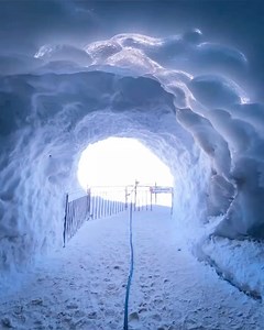 11K views · 4.5K reactions | Mont-Blanc Natural Resort on Reels | Facebook