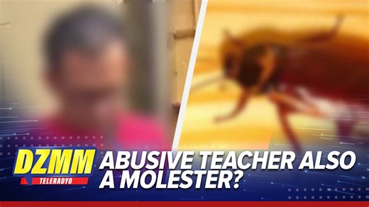 The Manila Police District gives an update on the case of a teacher who allegedly molested one of his students and then forced another to eat a cockroach. PMaj Philipp Ines, Manila Police District spokesperson, says the student who was forced to eat a cockroach filed the complaint while the student who was allegedly molested has not come forward. | ABS-CBN News