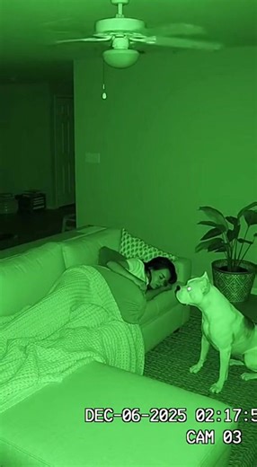 Ghostly Encounter: AI Night Vision Experience