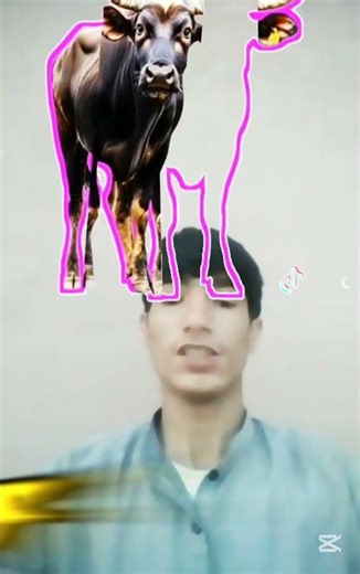 challenging video foryou #10kvews #challenge #stop #imageediting