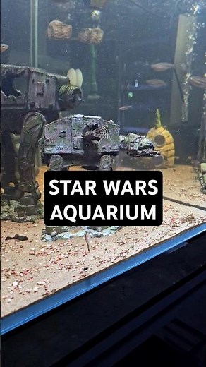 Star Wars Aquarium #aquariumhobby #fishtank #aquascape