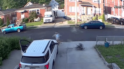 Staten Island man chased by aggressive turkey on camera