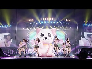 [DVD] Girls' Generation (소녀시대) - Do The Catwalk 'The Best live at TOKYO DOME