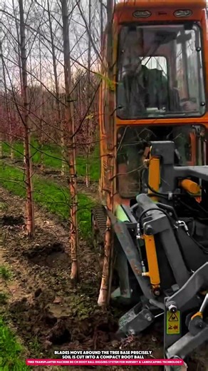 Tree Transplanter Machine 80 cm Root Ball Digging System for Nursery & Landscaping
