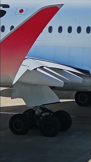 Airbus A350 Setting Takeoff Flaps to Flap 2 | Beautiful Wing Movement