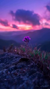 762K views · 10K reactions | ❣️ . . . . The history of #photography...