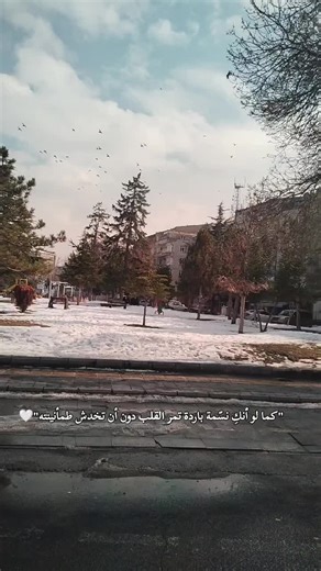 #فيروز #حب#شتاء ❄️