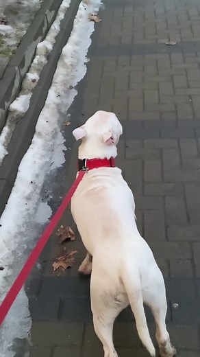 Jora, Boogeyman de Moldova😱❤️