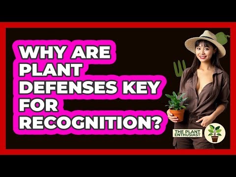 Why Are Plant Defenses Key For Recognition? - The Plant Enthusiast