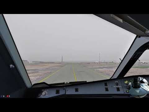 SN223 - Paris CDG - Brussels Charleroi - A333