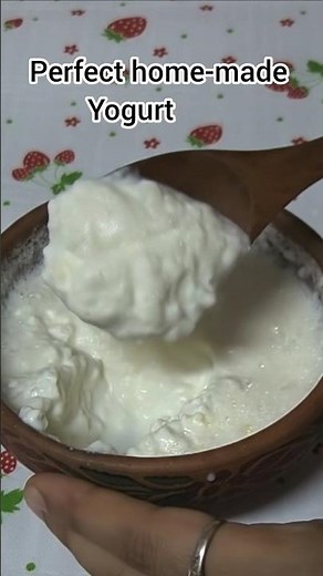 PERFECT HOME-MADE YOGURT THICK ,CREAMY & EASY / Hina's Kitchen.