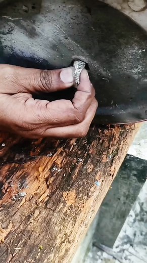 In this video, I’m using a piece of driftwood to create a natural-looking plant display. By carefully attaching a live plant onto the wood, it slowly starts to take the shape and beauty of a bonsai-style creation. 🌳 This simple DIY idea gives a unique artistic touch to any space — combining nature, texture, and creativity all in one. Stay tuned to see how it develops over time! #DriftwoodArt #BonsaiStyle #PlantMounting #DIYBonsai #GardenArt #NaturalDecor #IndoorPlantIdeas #DriftwoodDesign #Gree