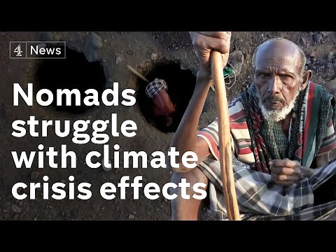 Ethiopian Nomads struggle for survival on the climate crisis frontline