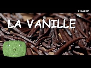 PEDAKID - LA VANILLE (vidéo pédagogique)